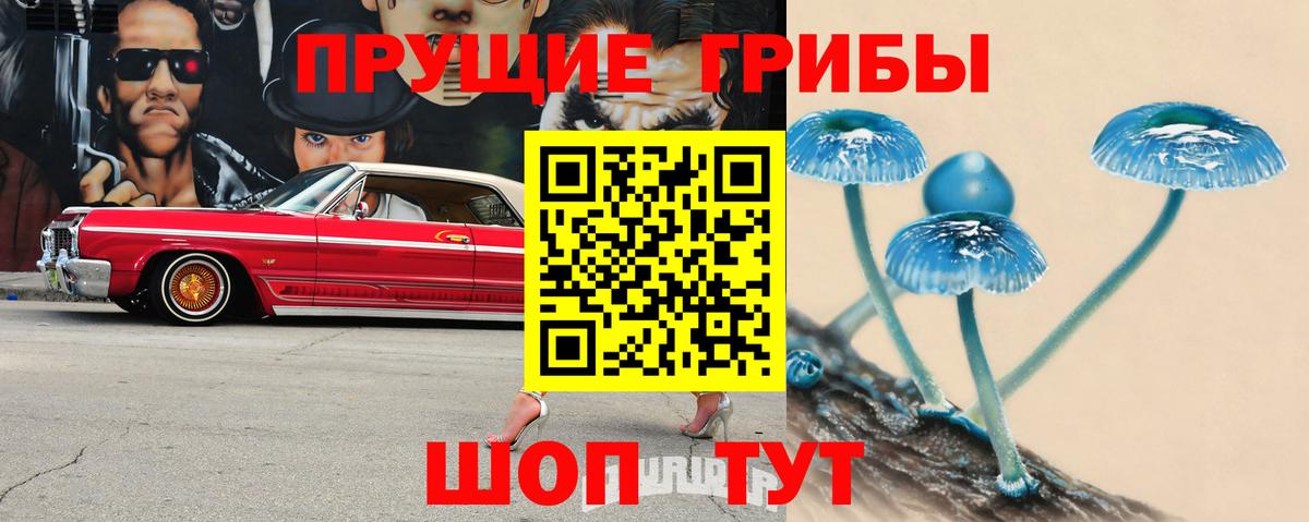 Красноярск  Галлюциногенные грибы мухоморы  Вход с VPN 